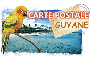 carte postale Guyane