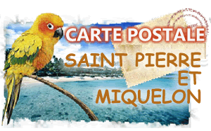 carte postale St Pierre et Miquelon