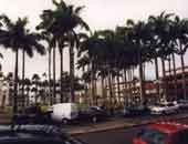 climat guyane