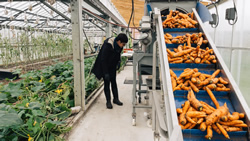 Economie Saint Pierre et Miquelon