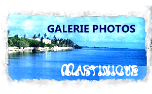 galerie photo Martinique