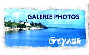 galerie photo Guyane