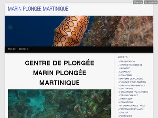 Marin plongée martinique