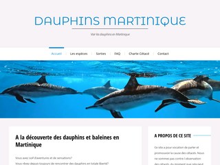 Observation des dauphins en martinique